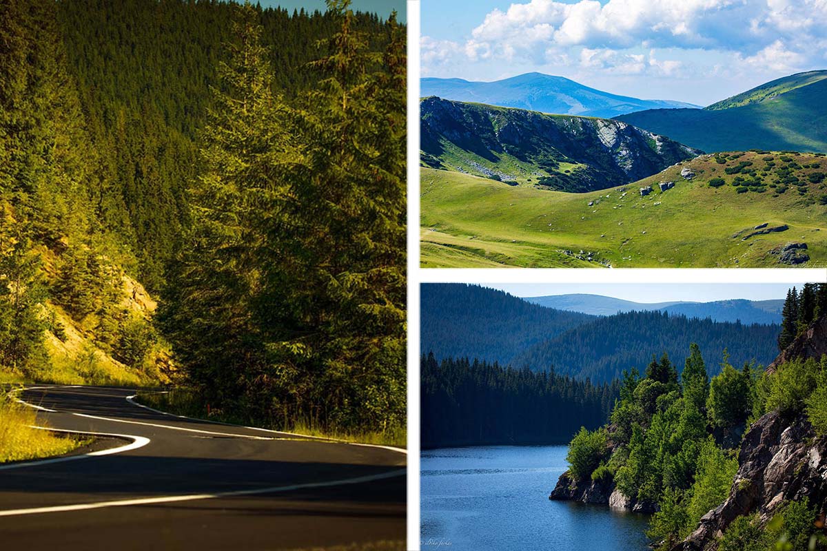 Pe urmele Transalpinei – natură, natură și… natură